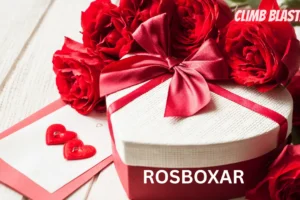 rosboxar
